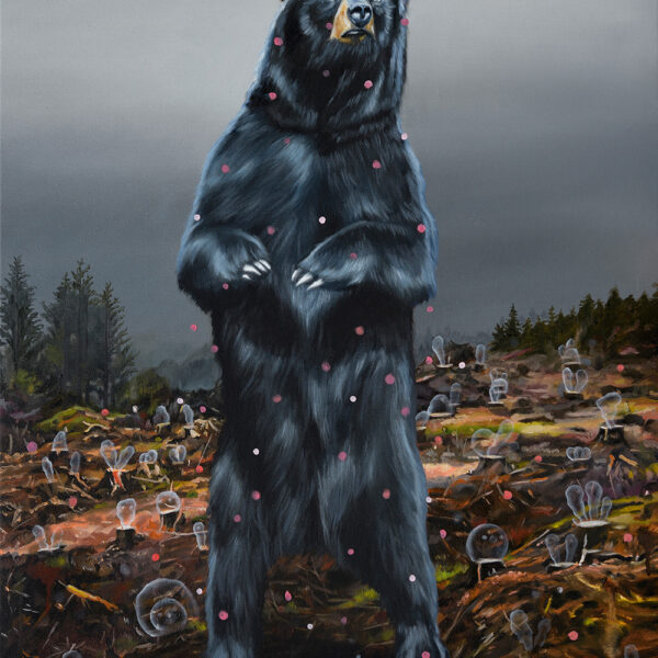 Black Bear, 2019, oil on canvas, 80 x 60 cm