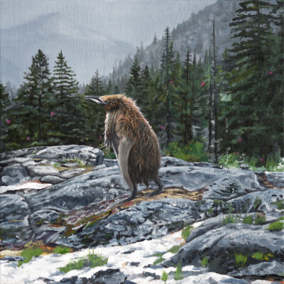Lost in the Wild, 2019, oil on canvas, 30 x 30 cm